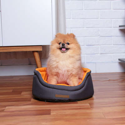 Cama Fábrica Pet Dog Cat Cinza
