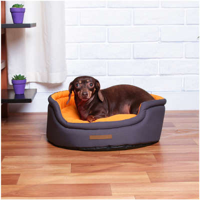 Cama Fábrica Pet Dog Cat Cinza