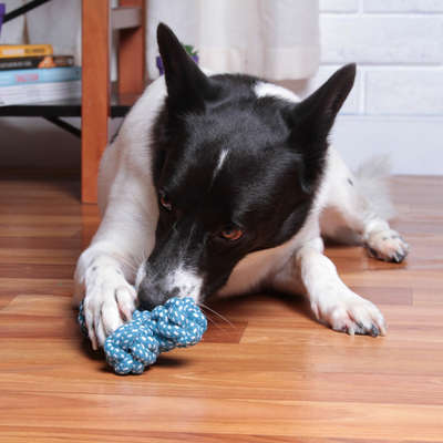 Brinquedo de Corda Kroco Osso Azul