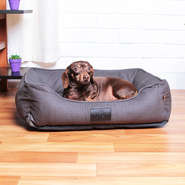 Cama Fábrica Pet Macia Arak Cinza
