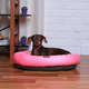 Cama Meau Paris Rosa - Tam. M