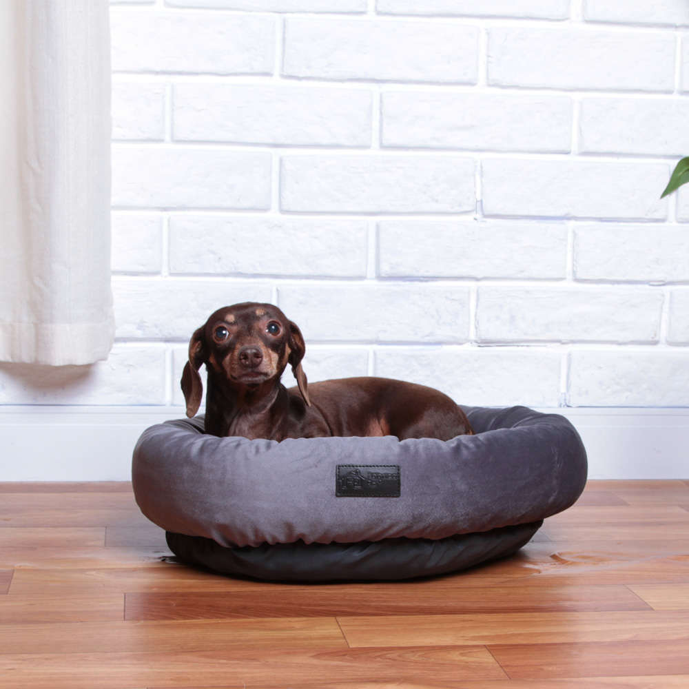 Cama Fábrica Pet Macia Zaya Cinza - Tam. M