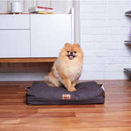 Almofadão Future Pet Lisboa Cinza