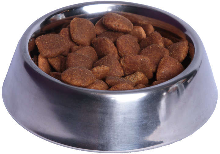 Comedouro Meau Inox para Cães e Gatos - 450 mL