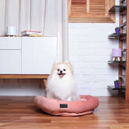Cama Fábrica Pet Macia Zaya Rosé - Tam. G