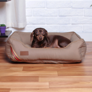 Cama Fábrica Pet D Acqua Caqui