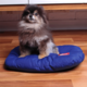 Almofada Kroco Retangular Lisa Microfibra Azul