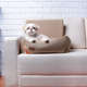 Cama Fábrica Pet Auto D Acqua Caqui