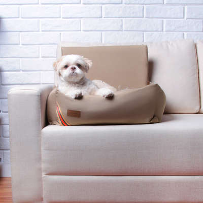 Cama Fábrica Pet Auto D Acqua Caqui