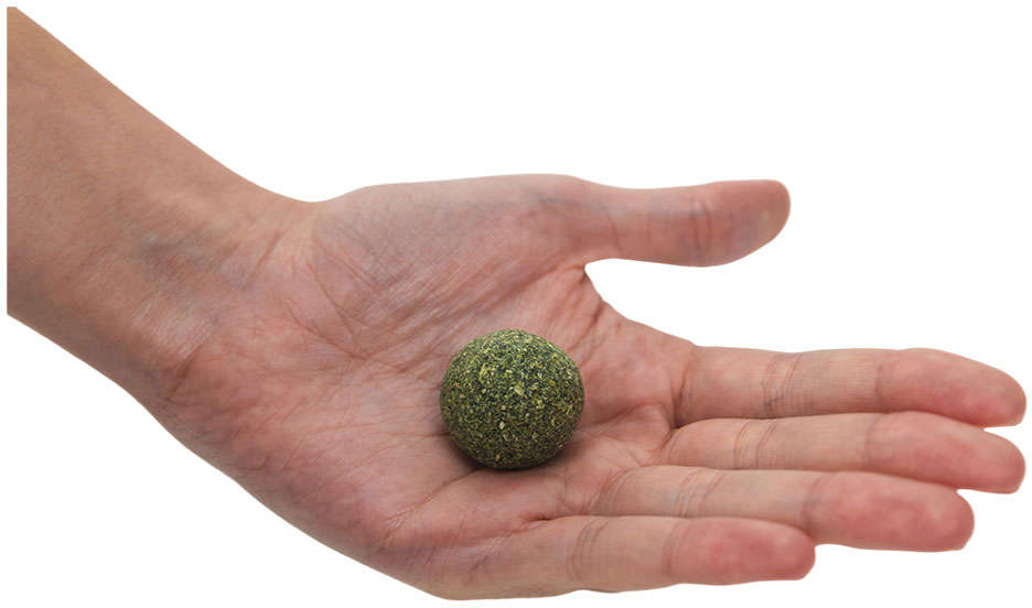 Brinquedo Mordedor Bola Catnip para Gatos - 4 Unidades
