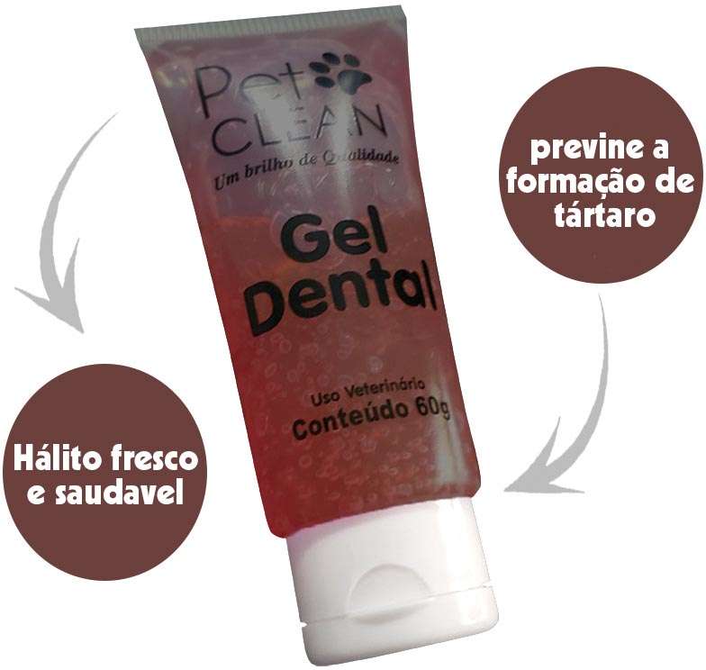 Gel Dental Sabor Chocolate - 60 g