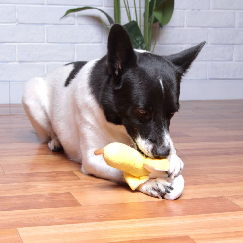 Pelúcia Kroco Banana - Tam. G