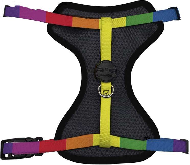 Conjunto Peitoral Style Mesh e Guia Rainbow para Gatos - Tam. Único