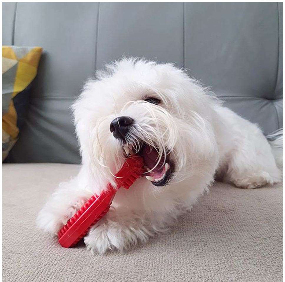 Brinquedo Mordedor Escova Pet Games Vermelho - Tam. M
