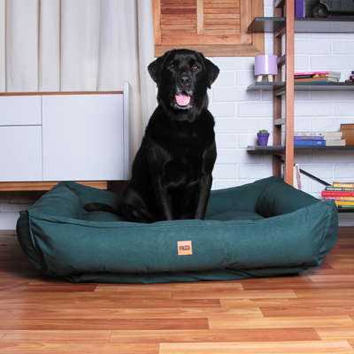 Cama Pacco Puppy King Ecotec Lisa Verde para Cães