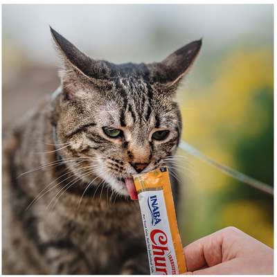 Petisco Churu para Gatos Sabor Galinha e Queijo