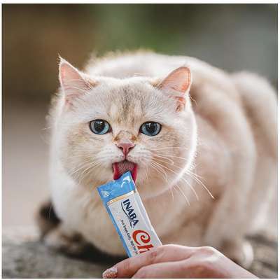 Petisco Churu para Gatos Sabor Galinha