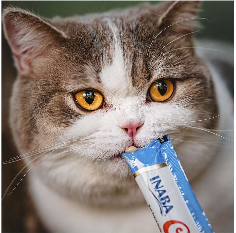 Petisco Churu para Gatos Sabor Galinha - 1 Pacote (4 Unidades)