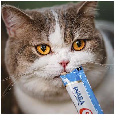 Petisco Churu para Gatos Sabor Galinha