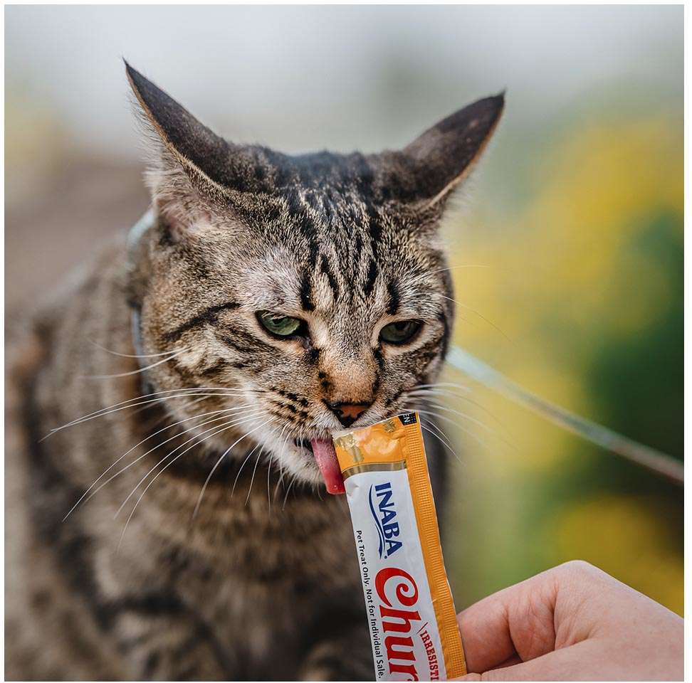 Petisco Churu para Gatos Sabor Galinha - 1 Pacote (4 Unidades)