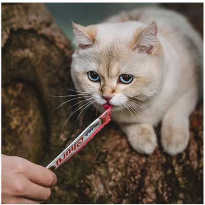 Petisco Churu para Gatos Sabor Galinha