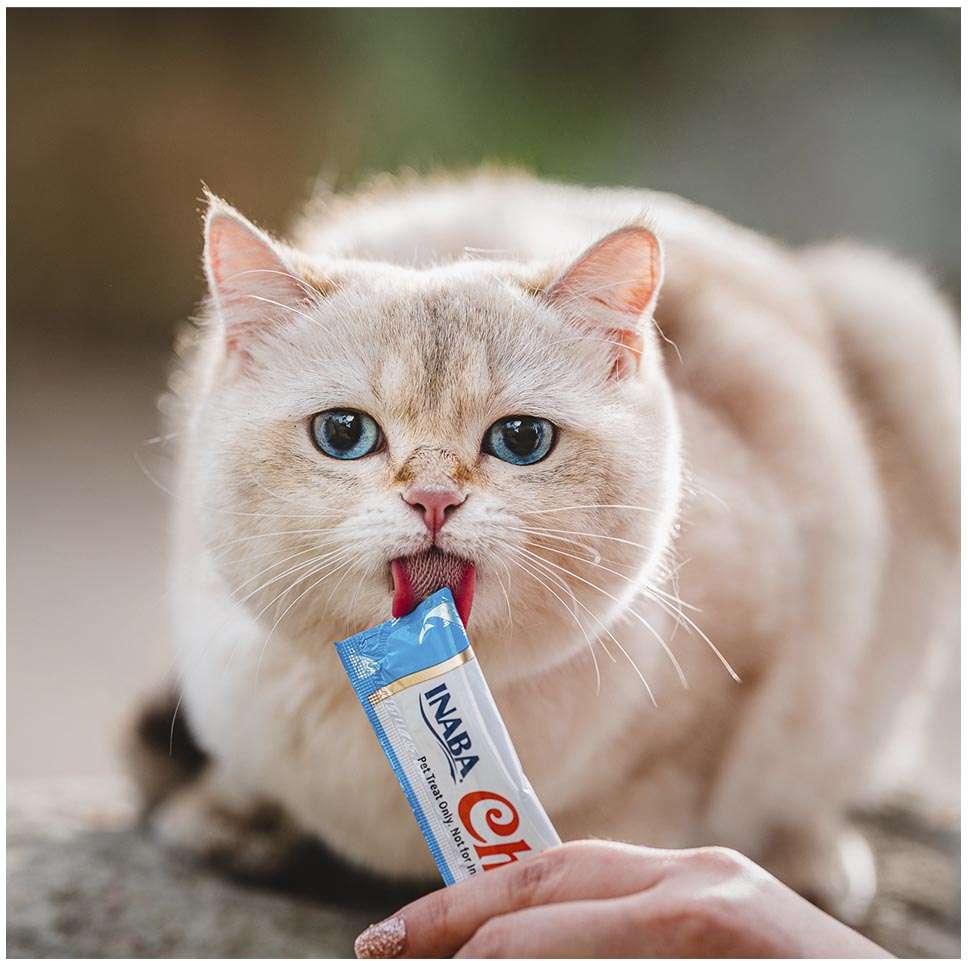 Petisco Churu para Gatos Sabor Atum - 1 Pacote (4 Unidades)