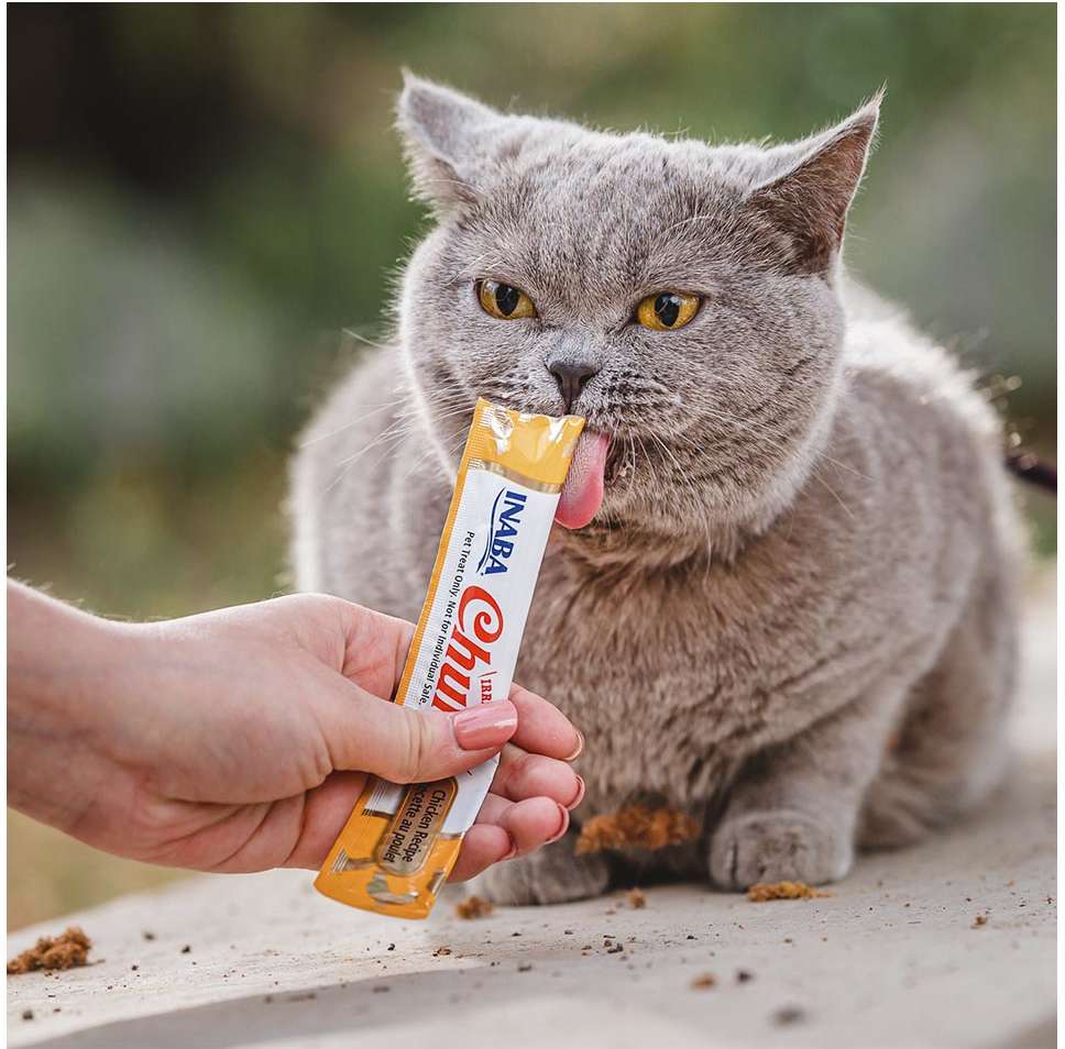 Petisco Churu para Gatos Sabor Atum - 1 Pacote (4 Unidades)