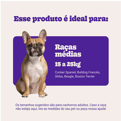 Mordedor Kroco Espinhos Azul para Cães