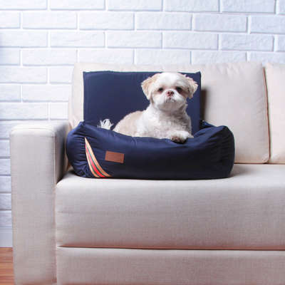 Cama Fábrica Pet Auto D Acqua Azul