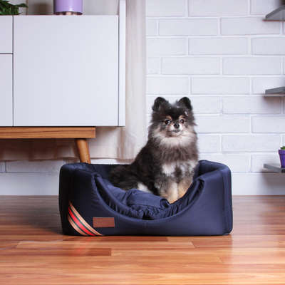 Iglu Fábrica Pet D Acqua Azul