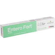 Entero Fort Suplemento Alimentar em Pasta Regulação da Flora Intestinal - 15 g