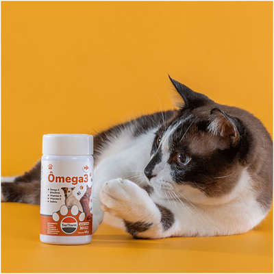 Suplemento Vitamínico Toptherm Ômega 3 para Cães e Gatos