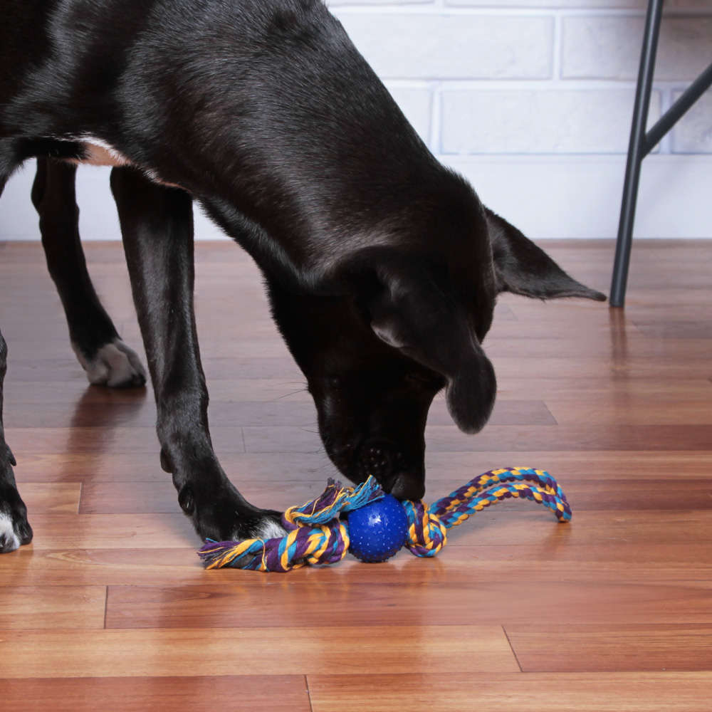 Brinquedo Kroco Mordedor Puxador Azul para Cães - Tam. Único