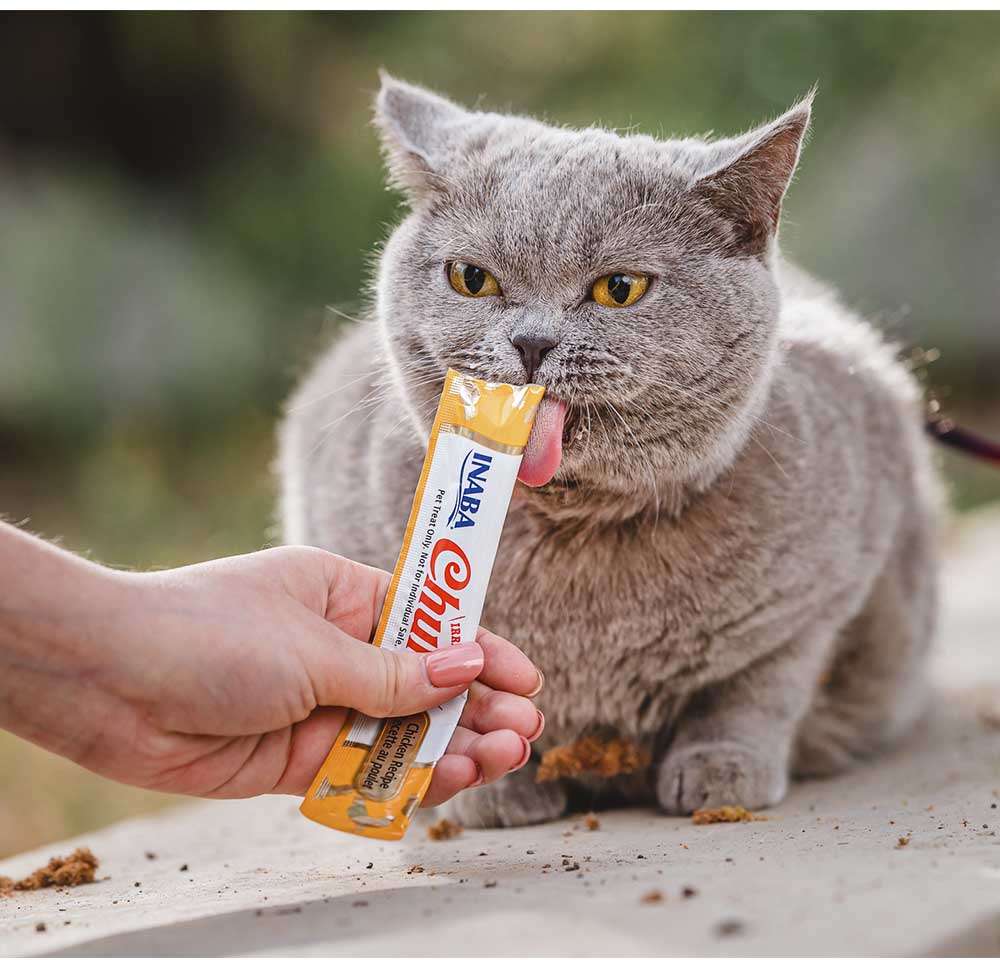 Petisco Churu para Gatos Sabor Camarão e Galinha - 1 Pacote (4 Unidades)