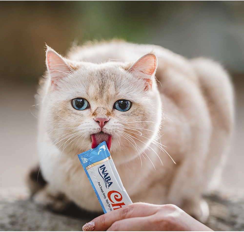 Petisco Churu para Gatos Sabor Camarão e Galinha - 1 Pacote (4 Unidades)