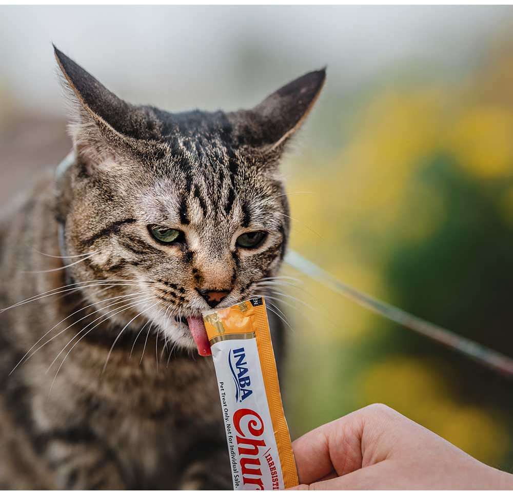 Petisco Churu para Gatos Sabor Camarão e Galinha - 1 Pacote (4 Unidades)
