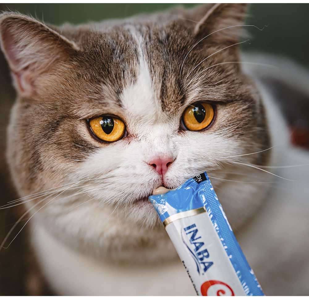 Petisco Churu para Gatos Sabor Camarão e Galinha - 1 Pacote (4 Unidades)