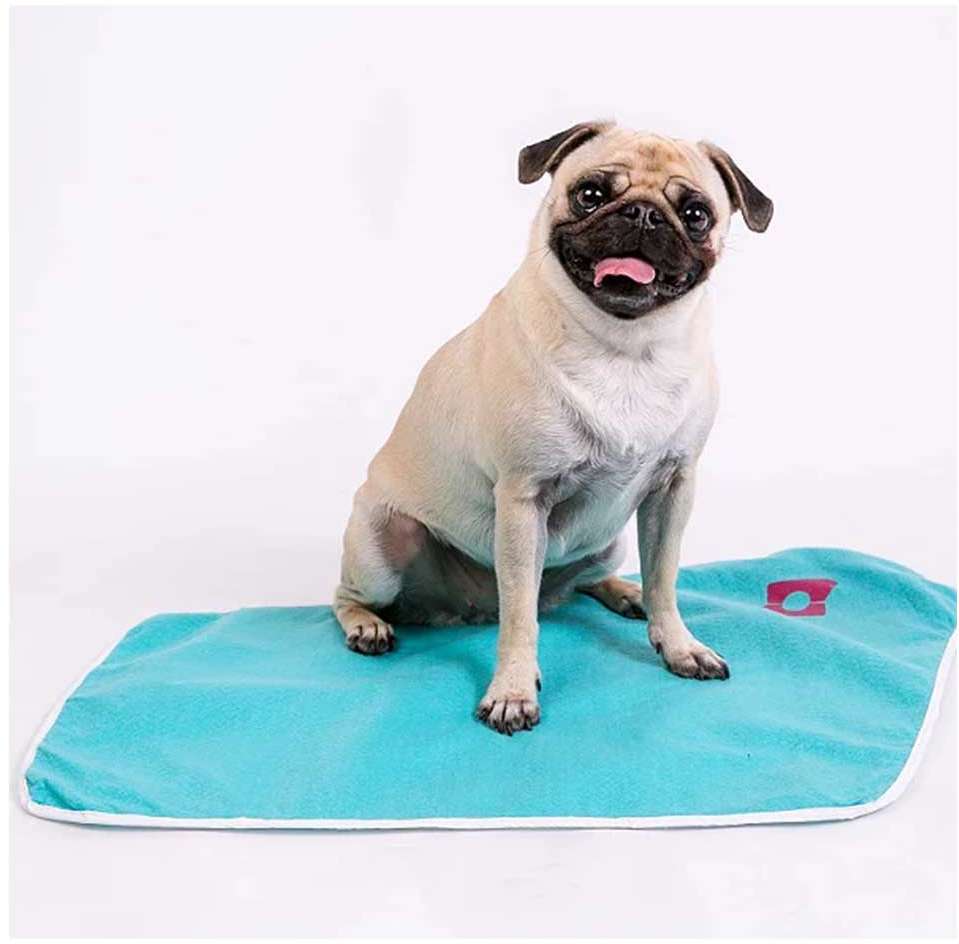 Tapete Higiênico Lavável Bartô Wosso Azul para Cães - Tam. Único