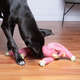 Brinquedo Chalesco Pelúcia Porco para Cães