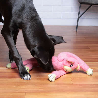 Brinquedo Chalesco Pelúcia Porco para Cães