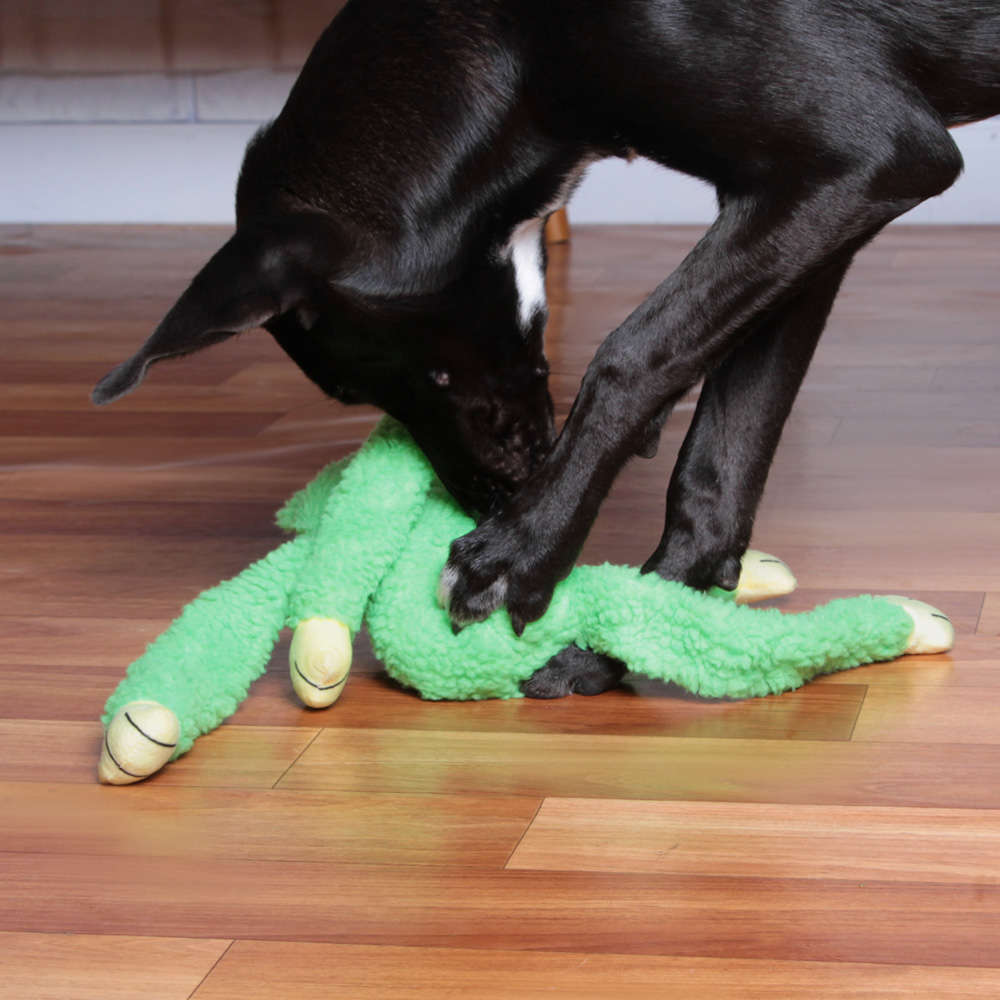 Brinquedo Chalesco Pelúcia Sapo para Cães - Tam. Único