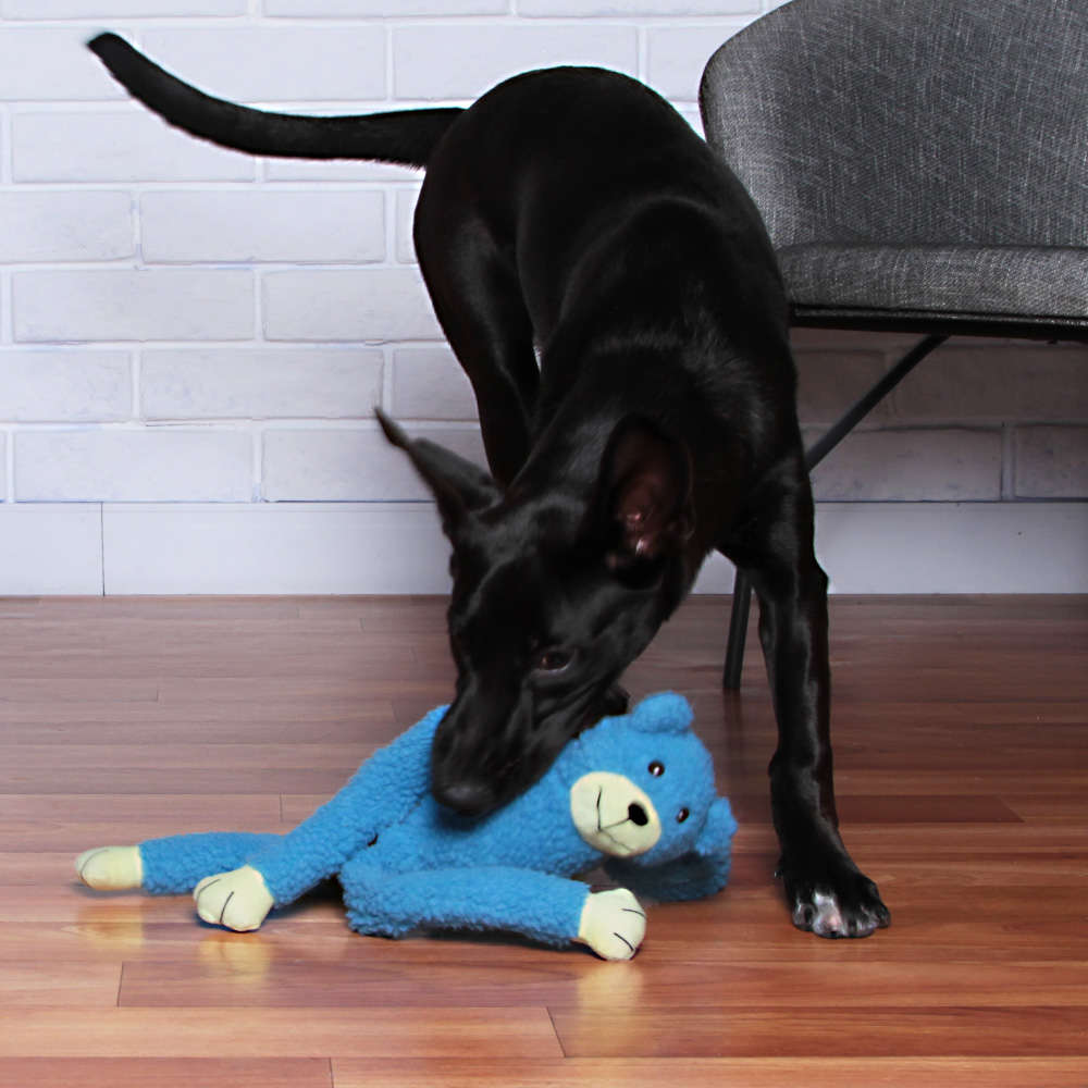 Brinquedo Chalesco Pelúcia Urso para Cães - Tam. Único