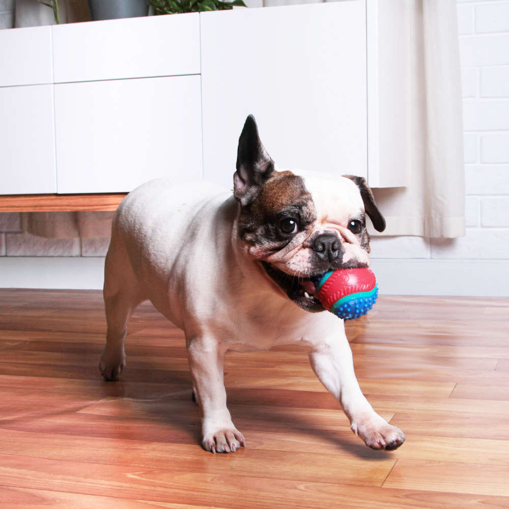 Brinquedo Kroco Bola de Tênis Spike Azul para Cães - Tam. Único