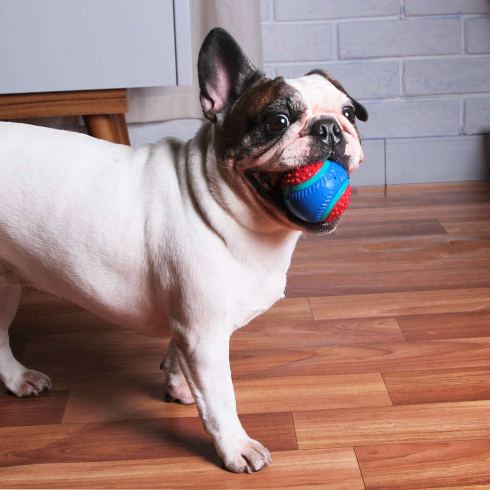 Brinquedo Kroco Bola de Tênis Spike Vermelho para Cães - Tam. Único