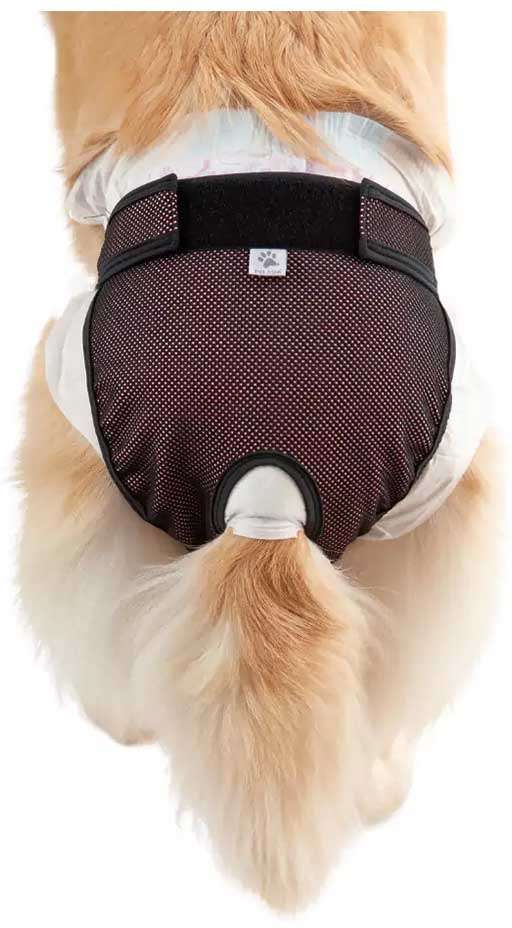 Protetor Higiênico Pet Med para Fraldas & Cio Rosa para Cães Fêmeas - Tam. 04