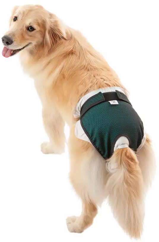 Protetor Higiênico Pet Med para Fraldas & Cio Verde para Cães Fêmeas - Tam. 07