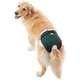 Protetor Higiênico Pet Med para Fraldas & Cio Verde para Cães Fêmeas