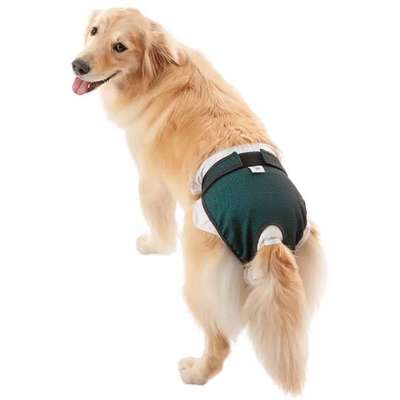 Protetor Higiênico Pet Med para Fraldas & Cio Verde para Cães Fêmeas