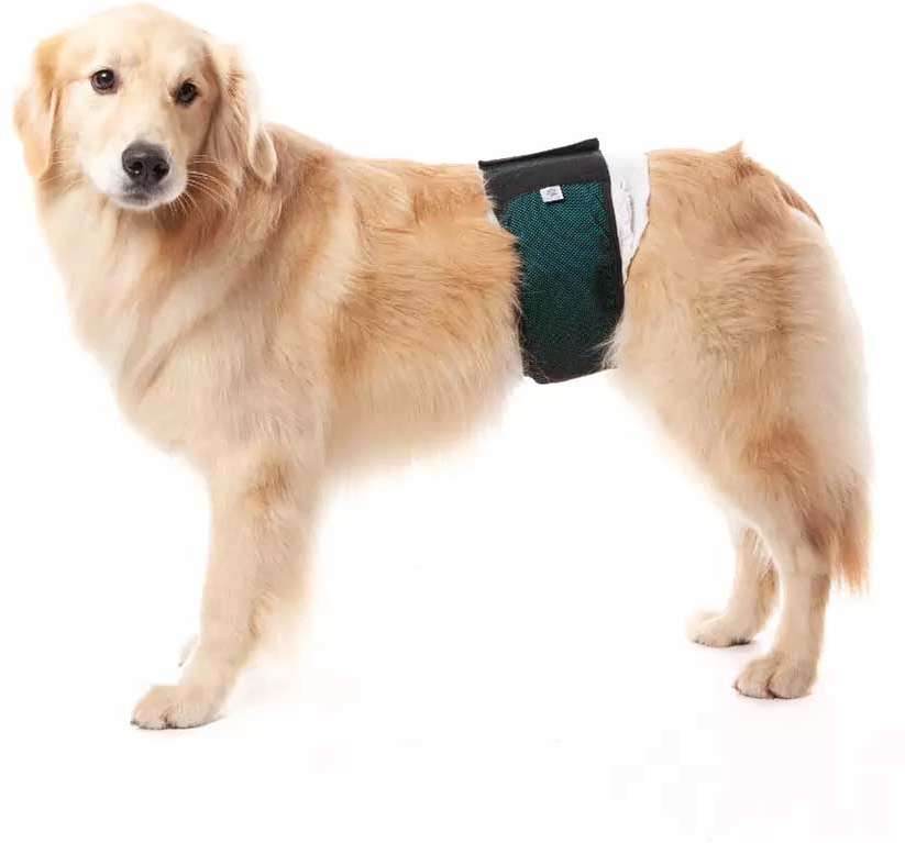 Protetor Higiênico Pet Med para Fraldas Verde para Cães Machos - Tam. 04