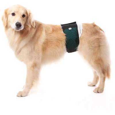 Protetor Higiênico Pet Med para Fraldas Verde para Cães Machos